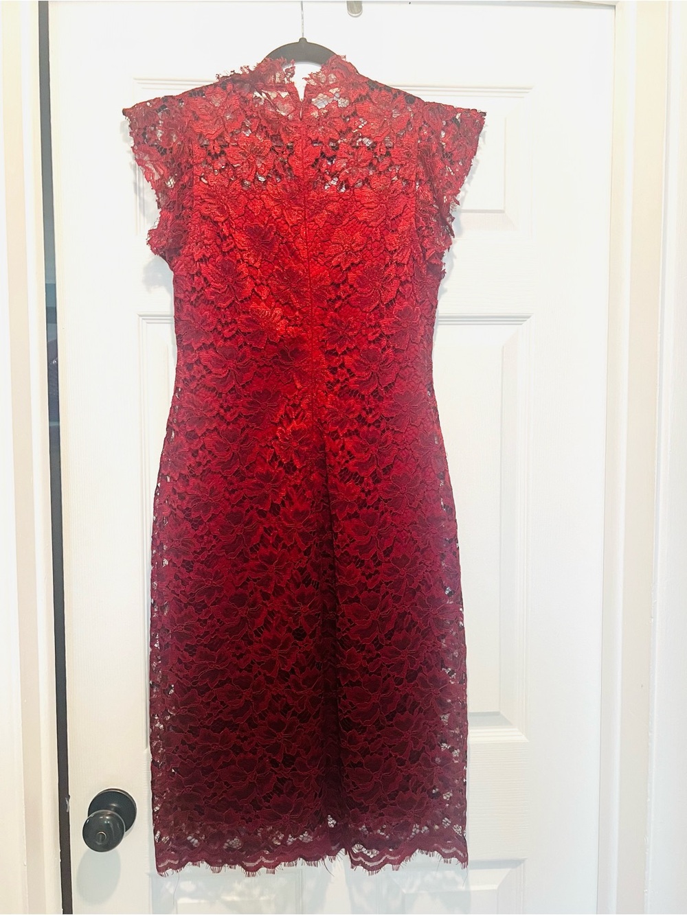 Gorgeous Red Lace Cap-Sleeve Sheath Dress